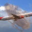 a large bug flying in the sky