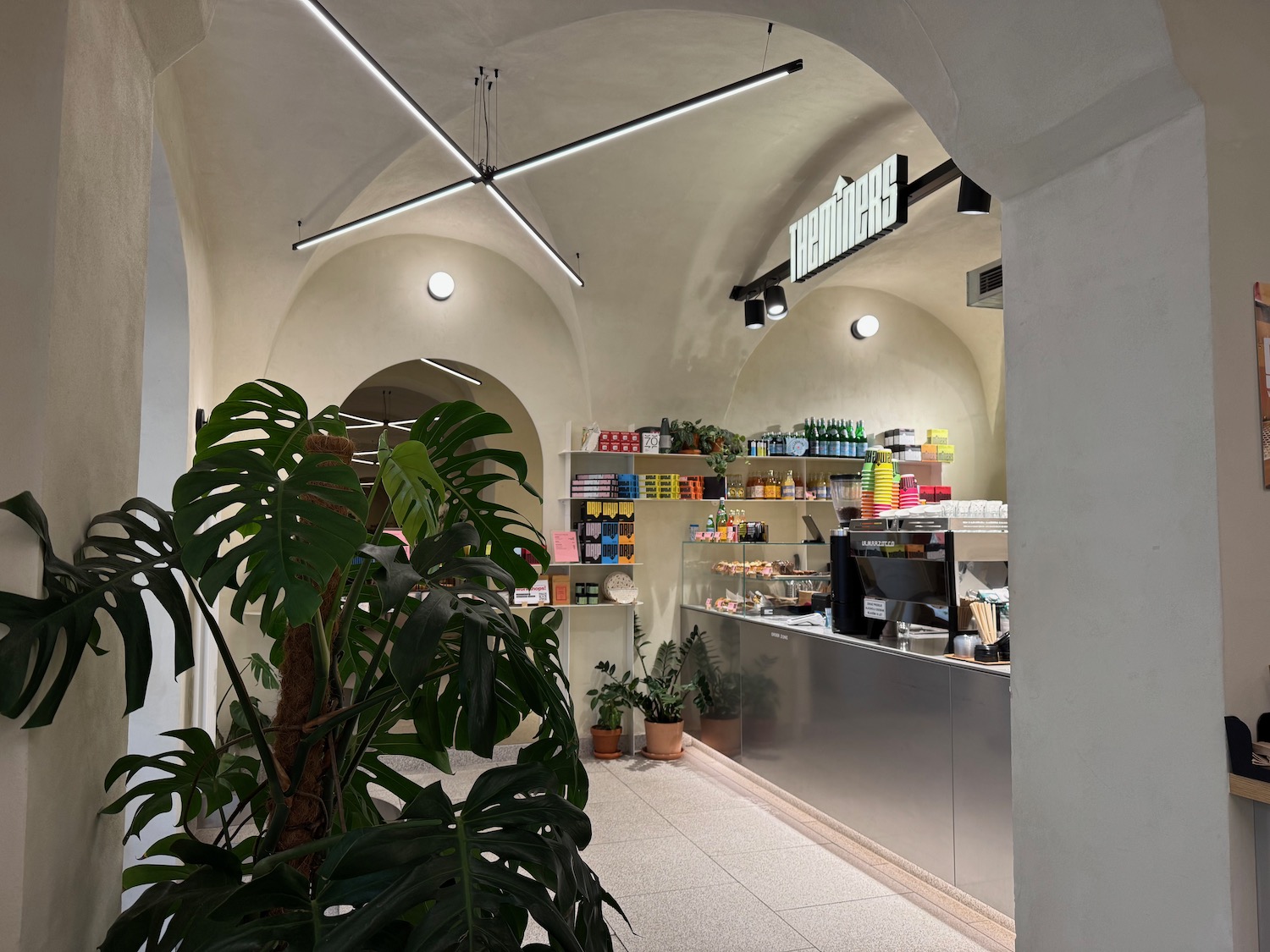 a coffee shop with a plant in the front