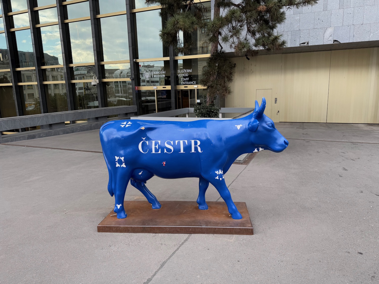 a blue cow statue in front of a building