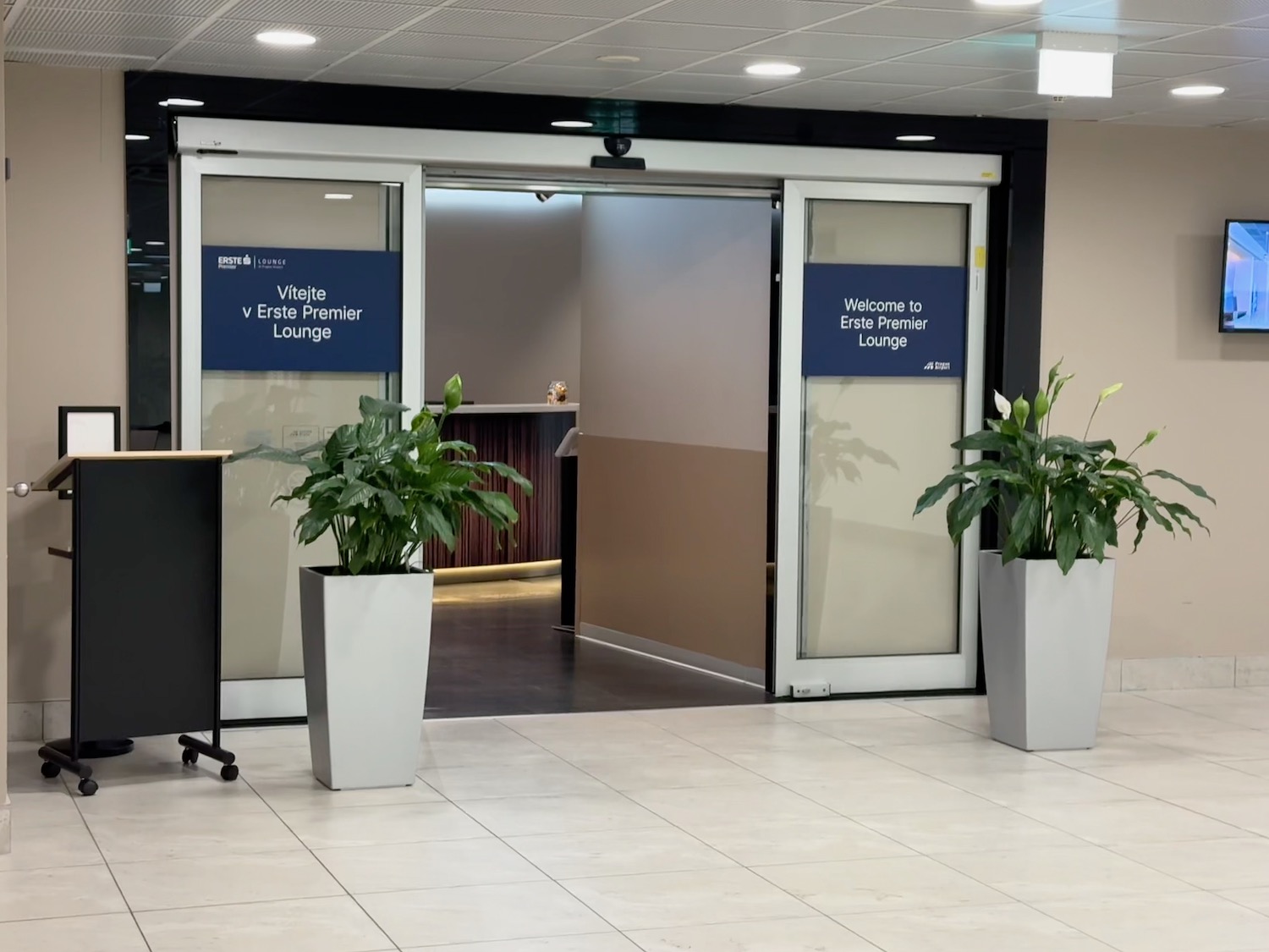 a glass doors with plants in front of it