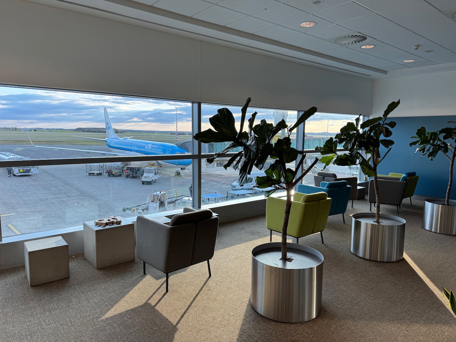 a room with chairs and trees in front of a window