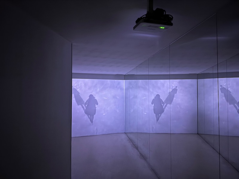 a shadow of a person on a wall