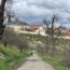a person walking on a path with trees and buildings in the background