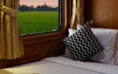 Blue Jasmine courtesy DTH Travel