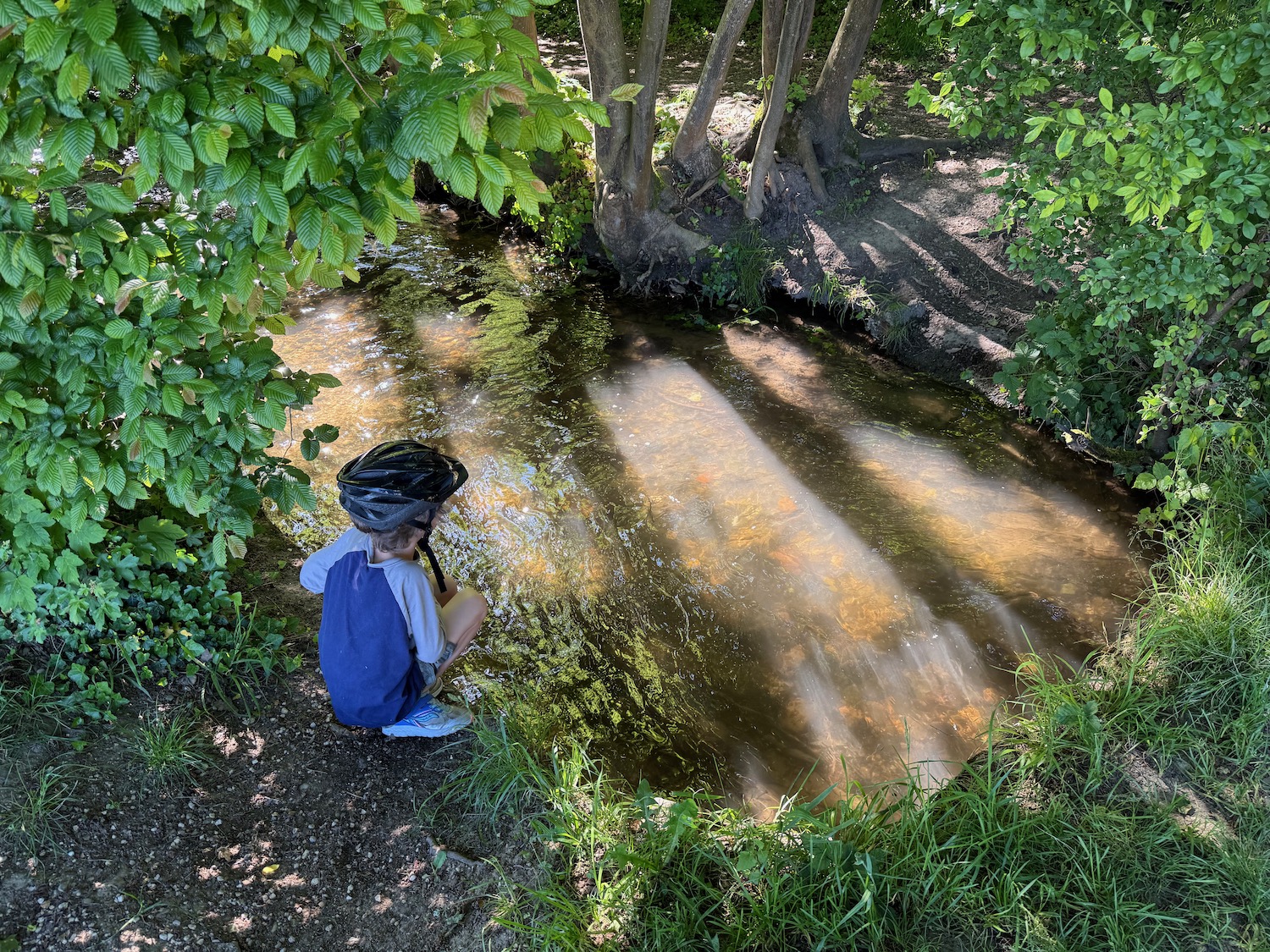 a child sitting on the ground near a stream