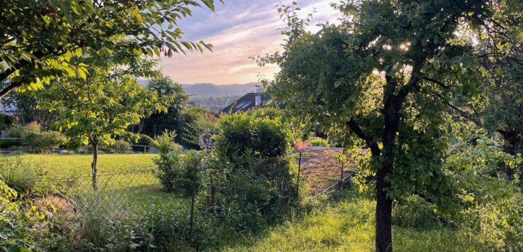 Springtime Germany