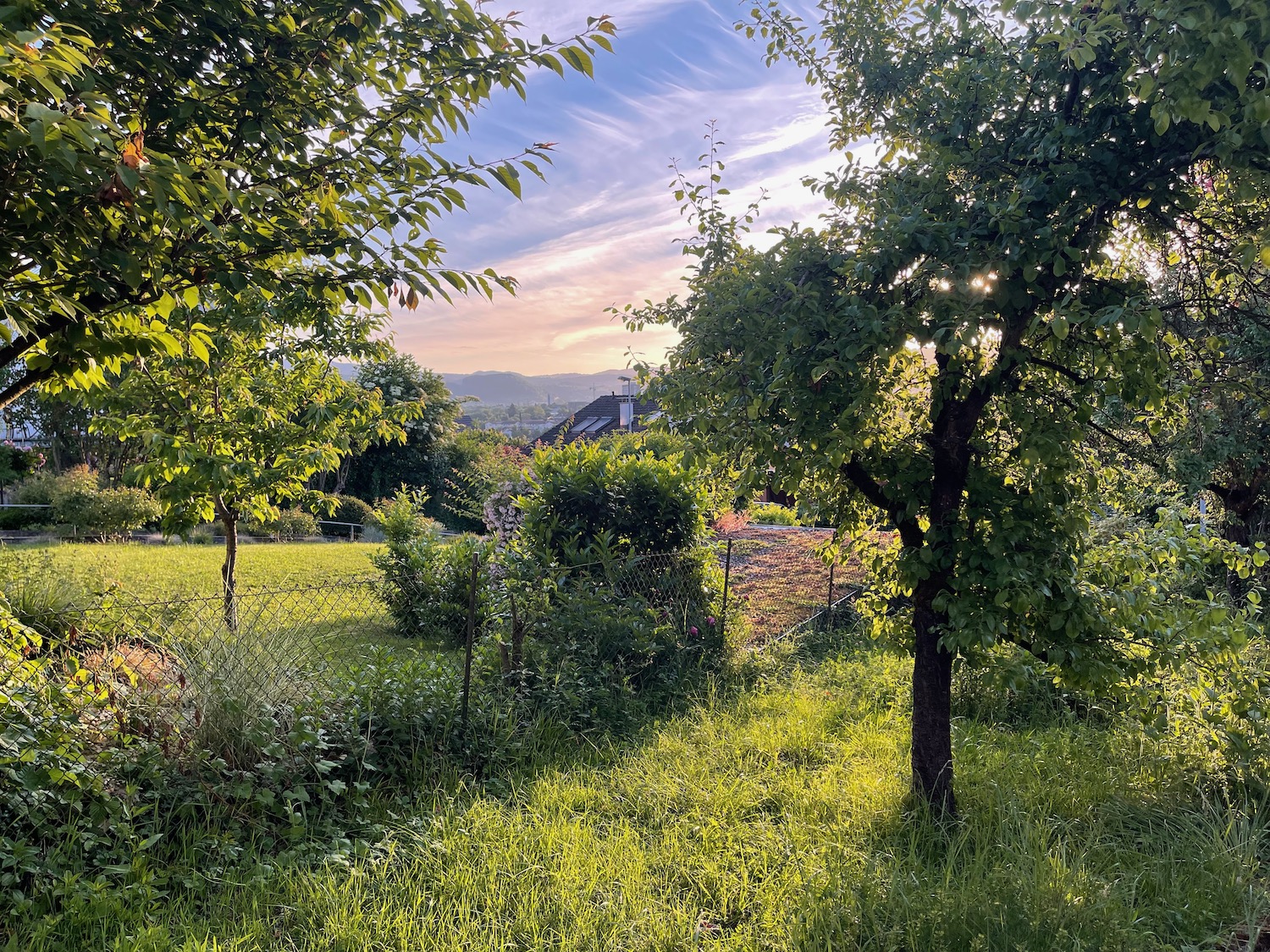 Eat, Drink, And Be Merry: Springtime In Germany