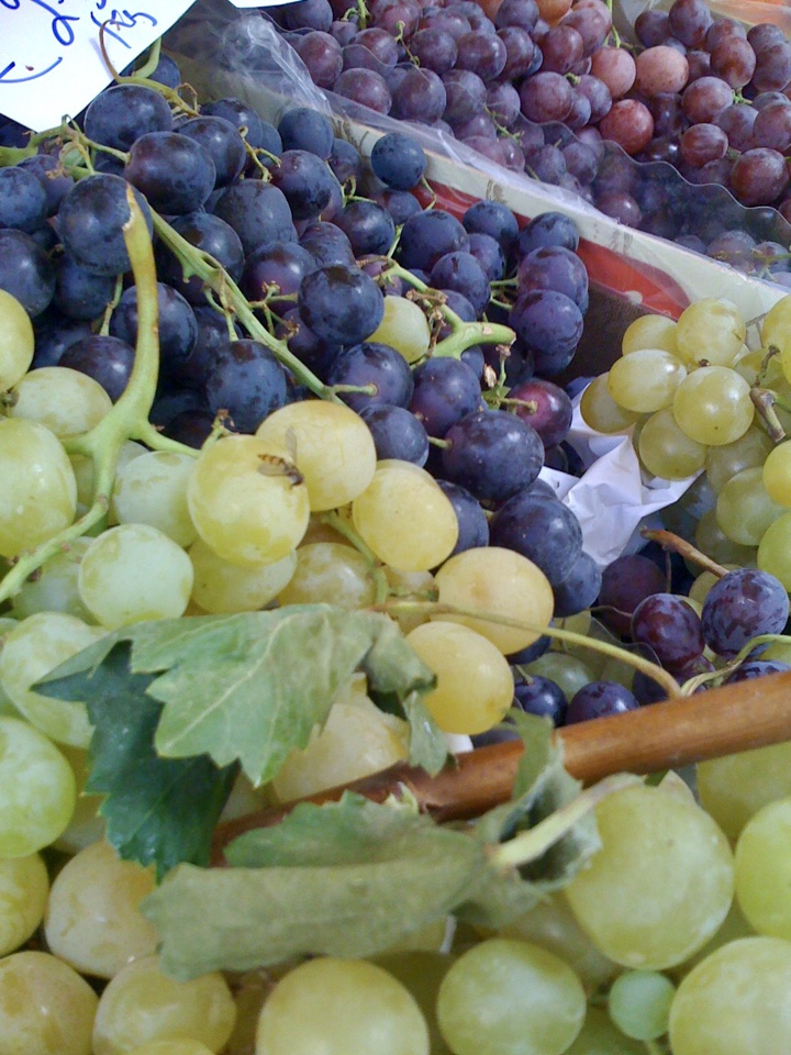 fresh grapes in Malta