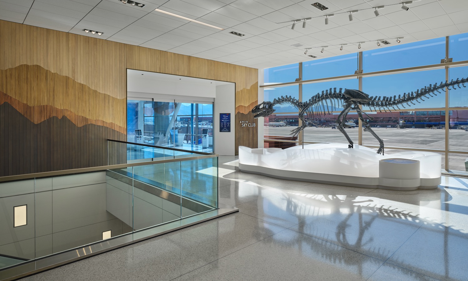 a dinosaur skeleton in a room
