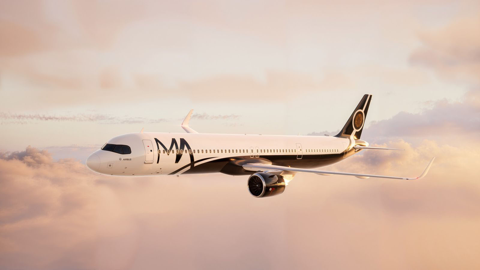 a plane flying in the sky