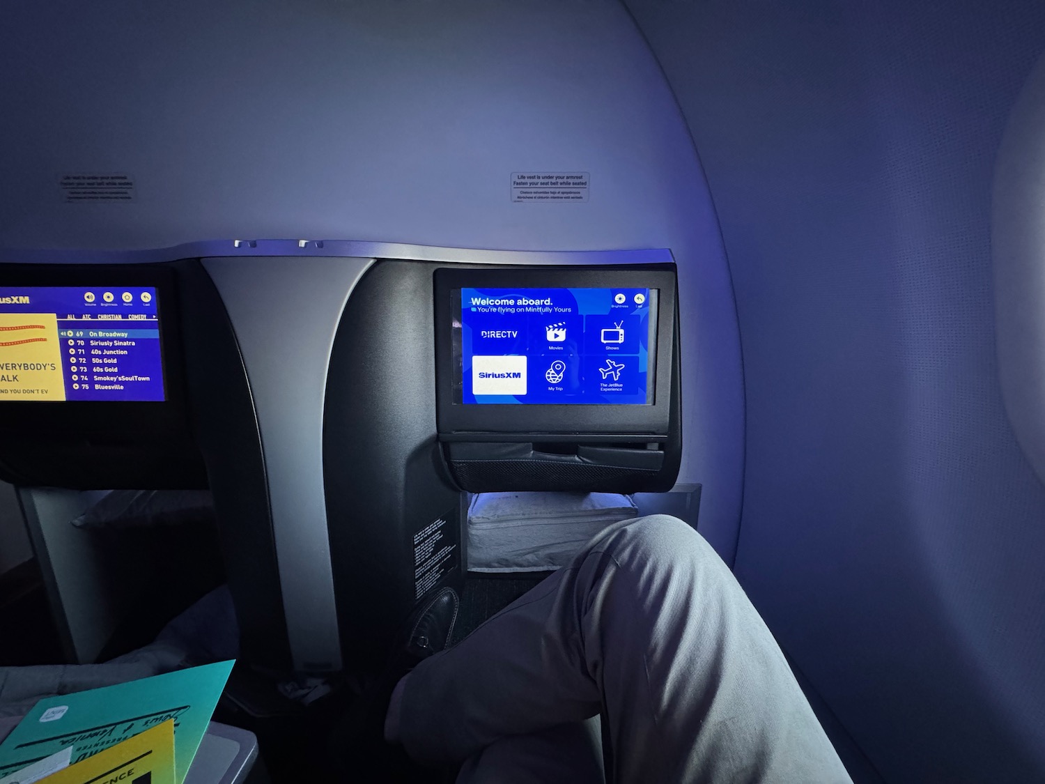 a person sitting in an airplane with a screen