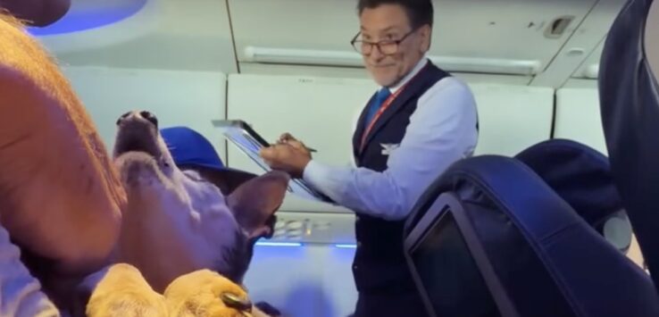 a man standing next to a dog