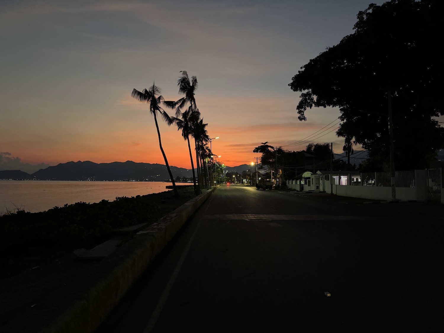 a road with palm trees and a body of water at sunset