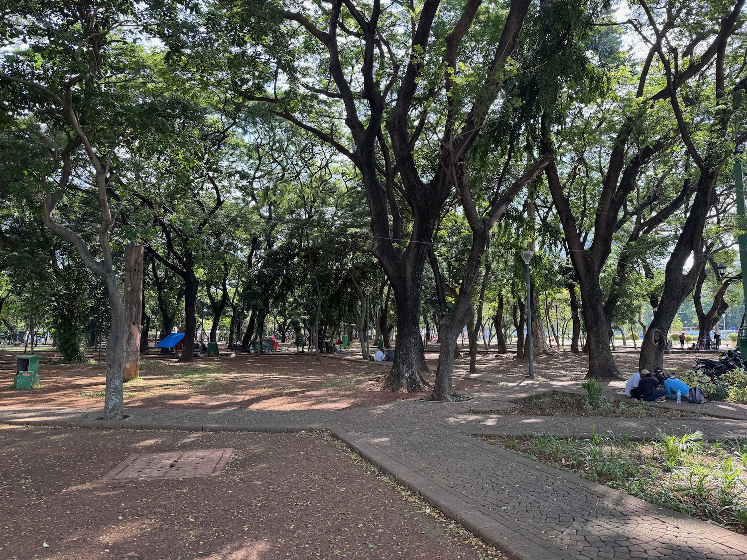 a group of people sitting in a park
