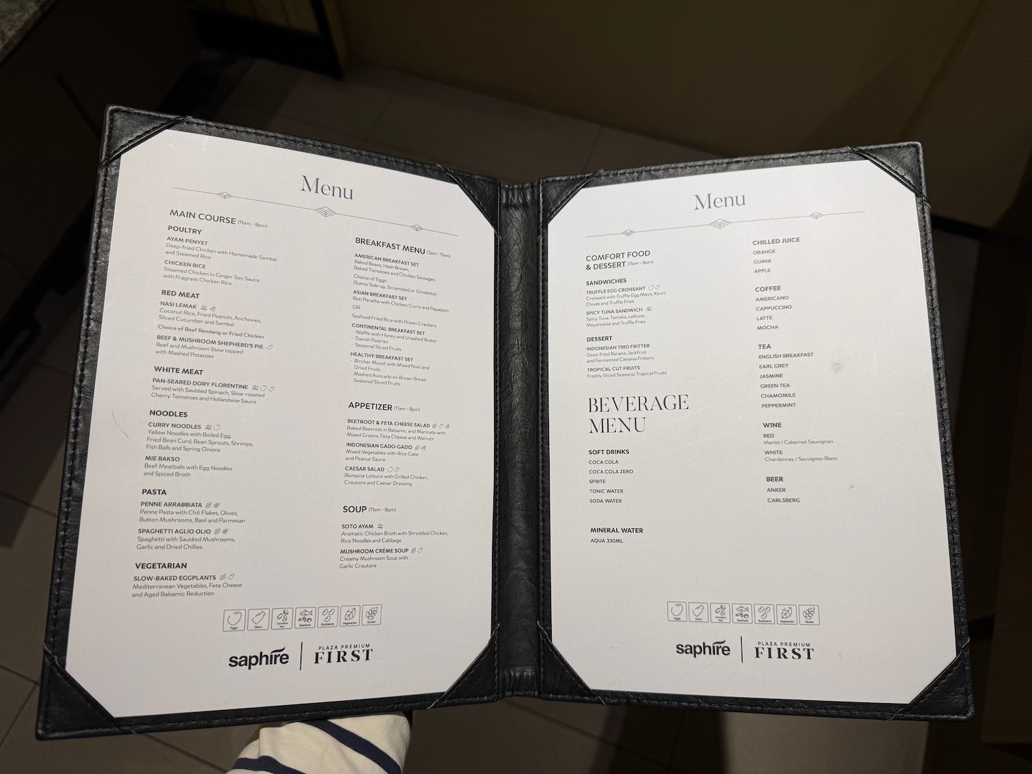 a hand holding a menu