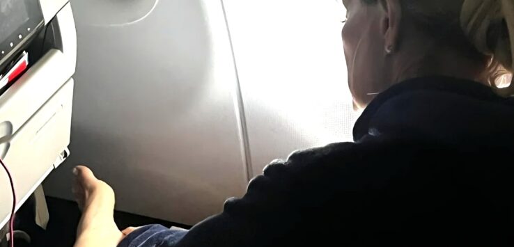 American Airlines passenger grinds dead skin