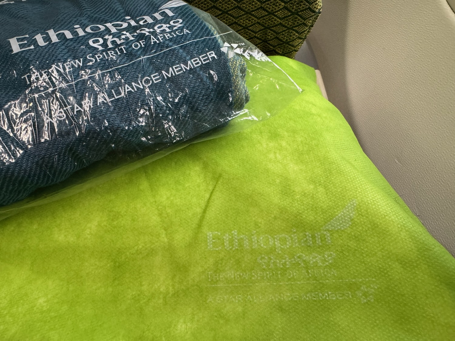 a blue bag on a green blanket