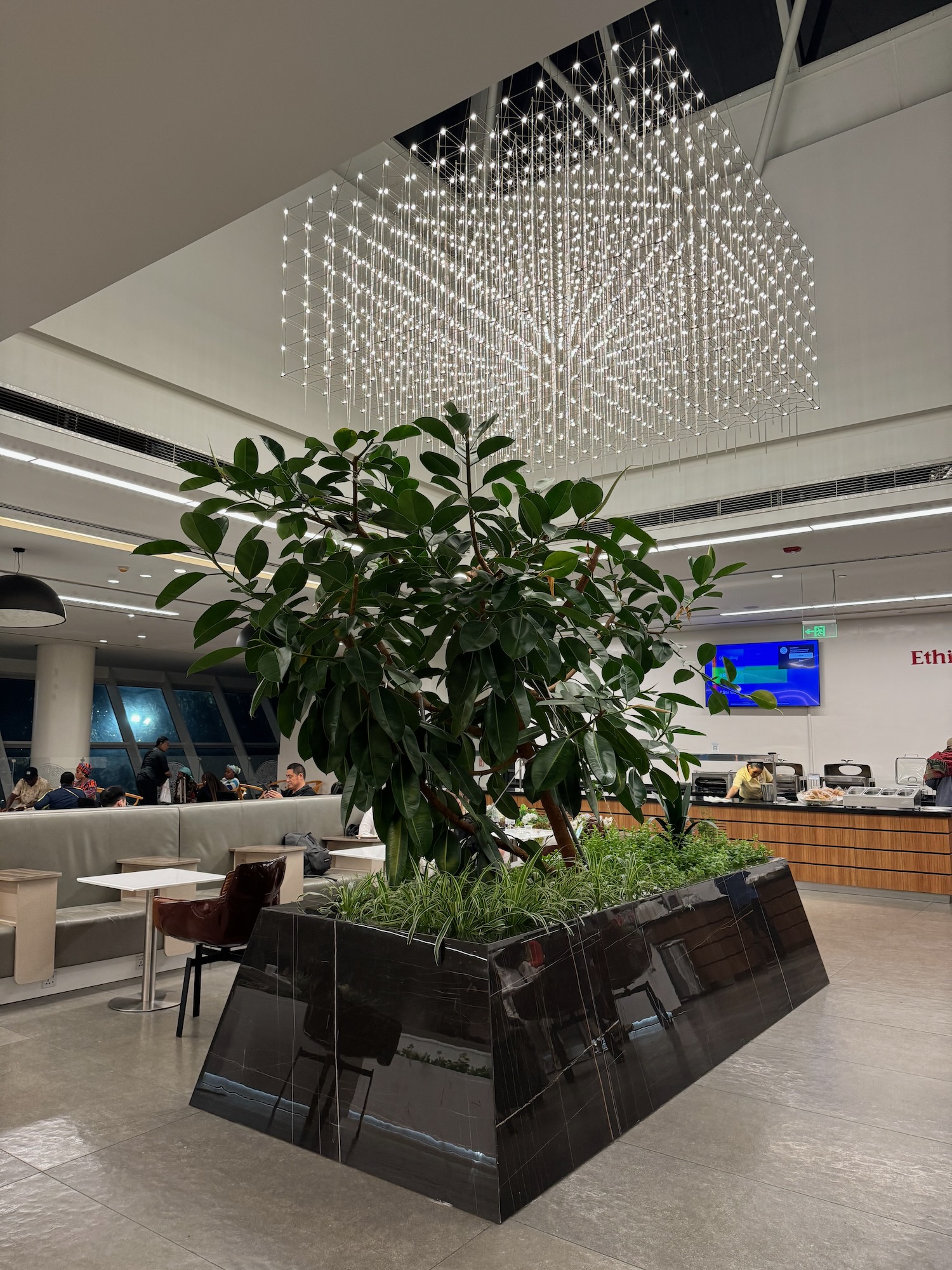 a large planter in a room with a chandelier
