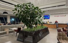 Ethiopian Airlines Star Gold Lounge Addis Ababa Review