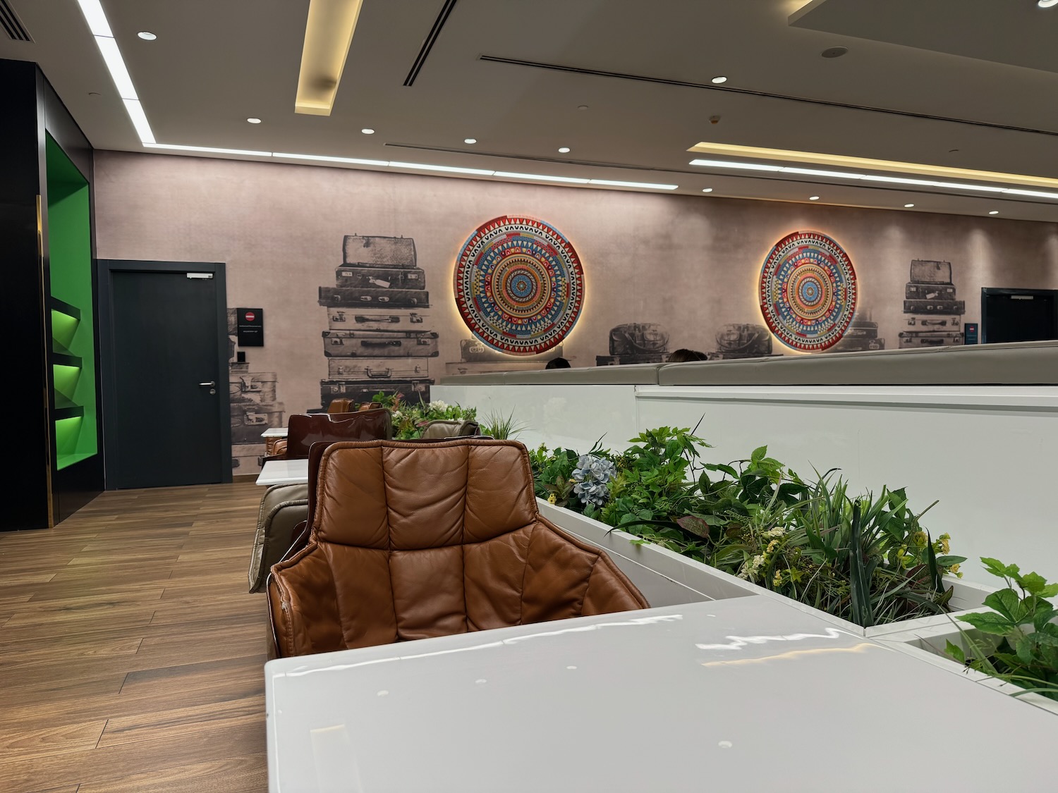 a room with chairs and plants