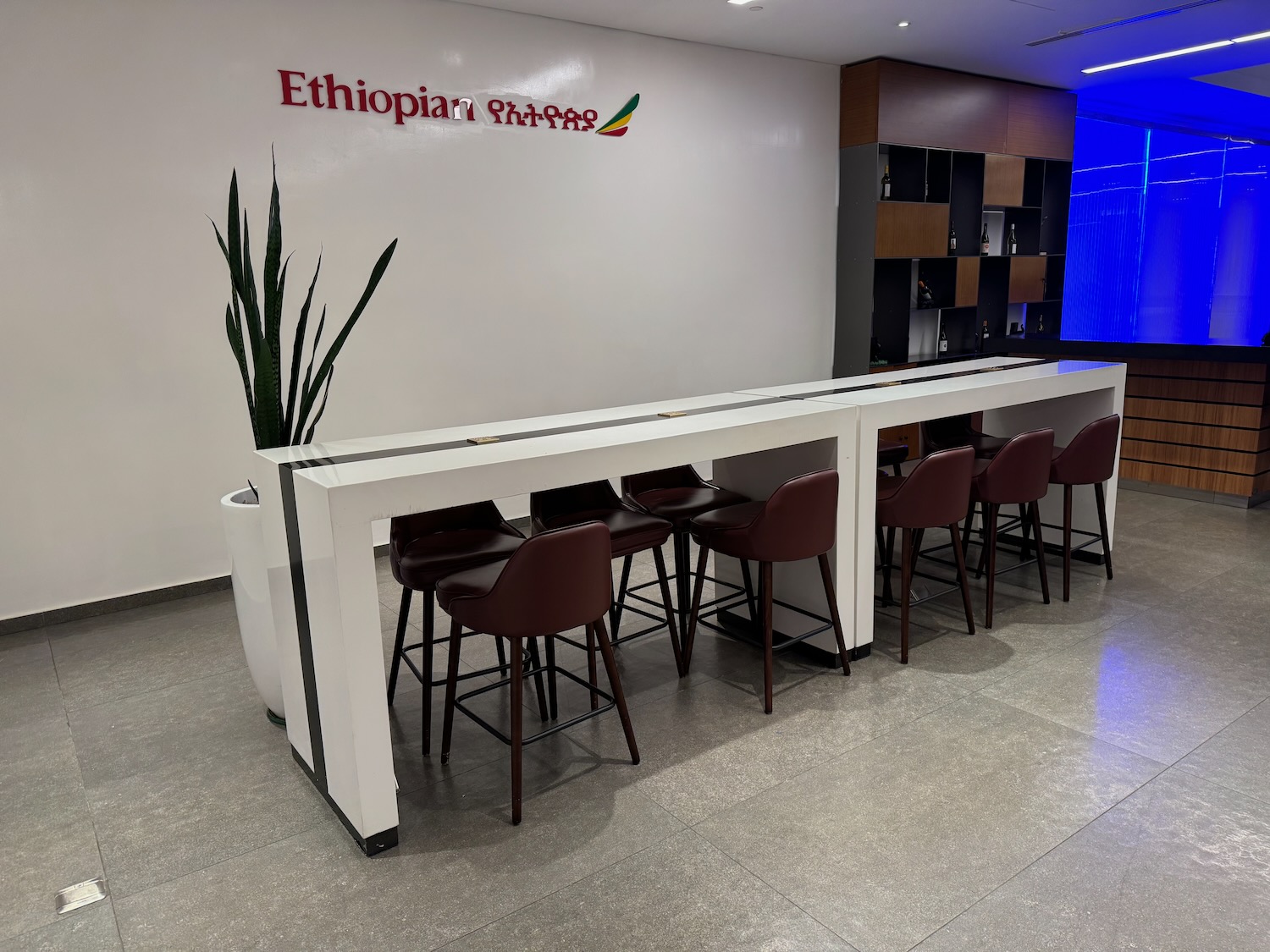 a long white table with chairs and a plant in front of it