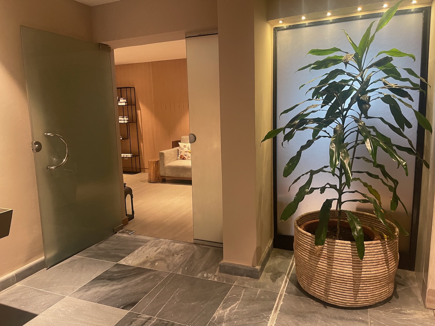 a plant in a pot next to a door