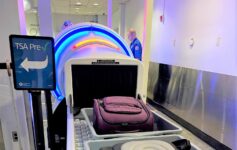 TSA meat cleaver Delta flight