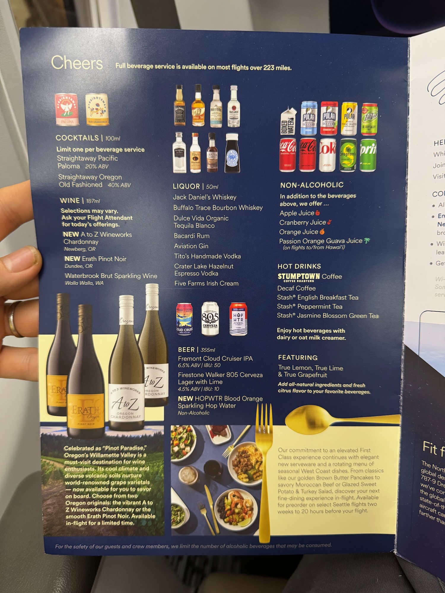 a hand holding a menu