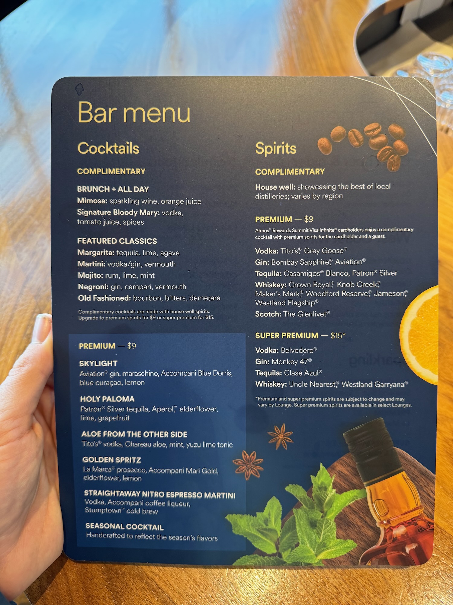 a hand holding a menu