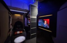 American Airlines flight attendants leadership