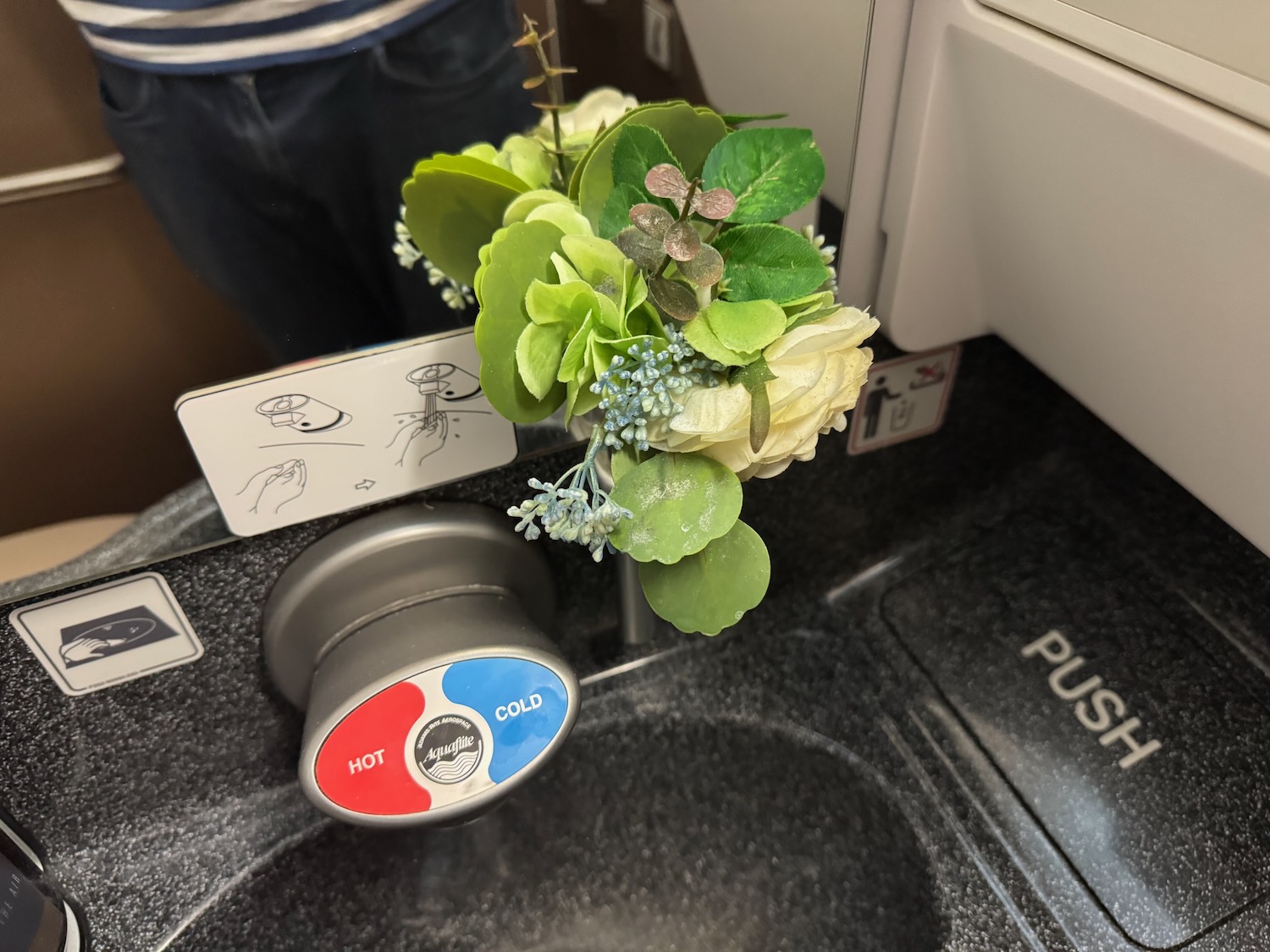 a plant on a counter