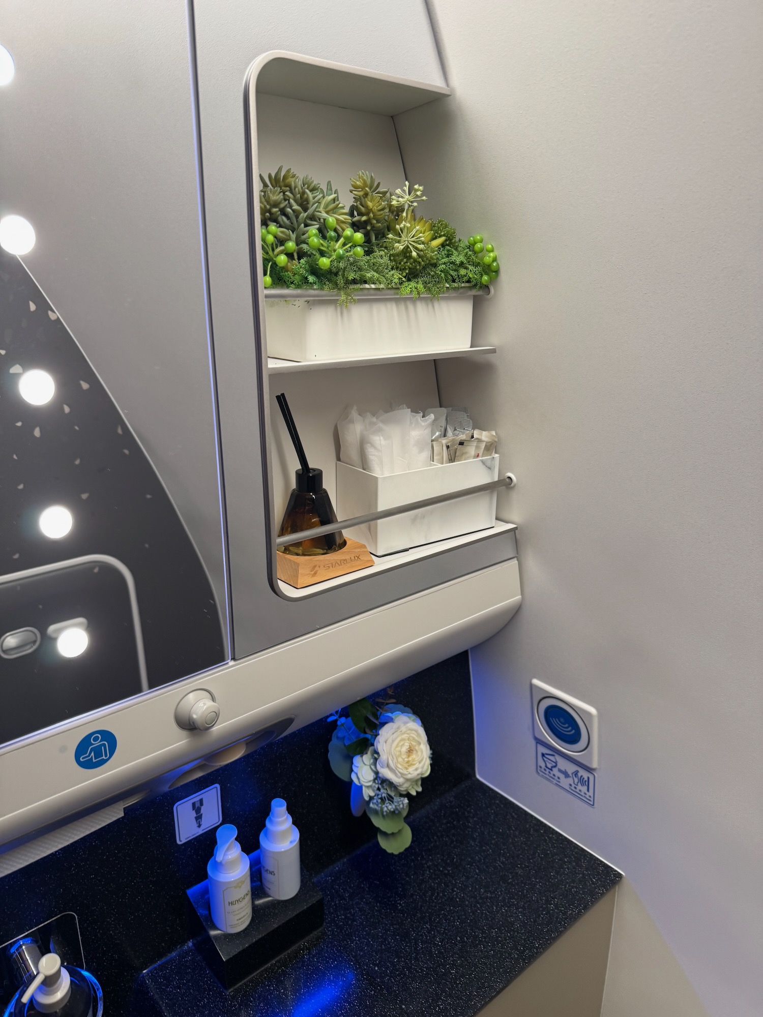 a shelf with plants and a mirror