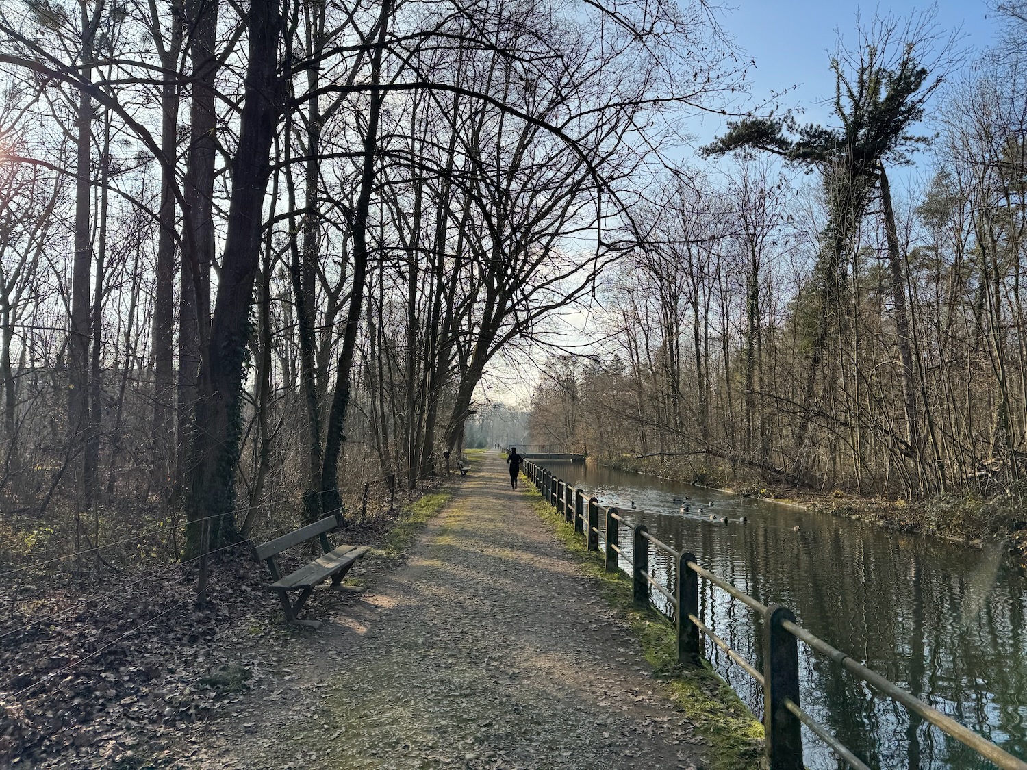 a path with benches and a body of water
