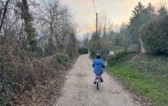 a child riding a bike on a dirt path