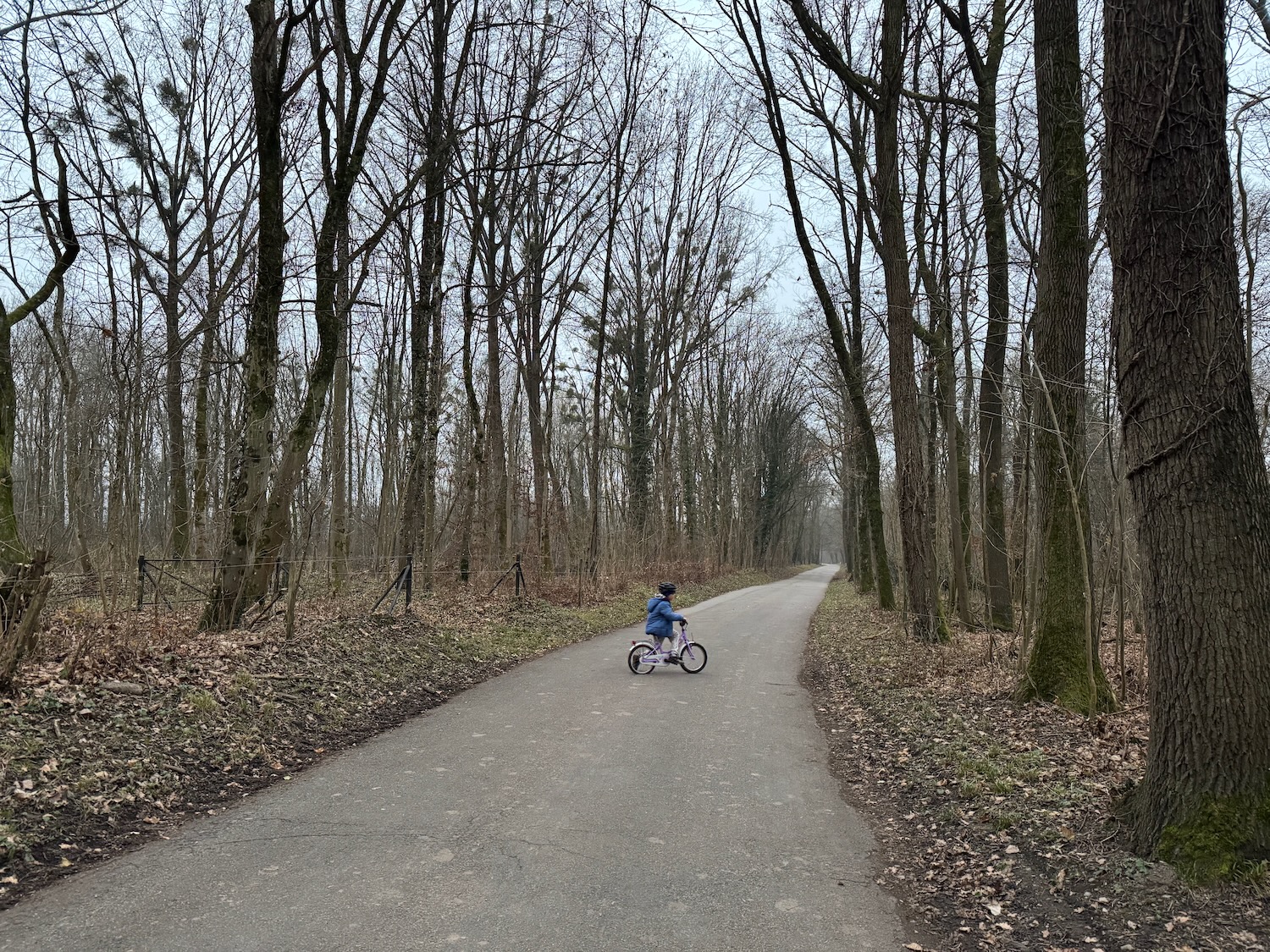 a child riding a bike on a path with trees
