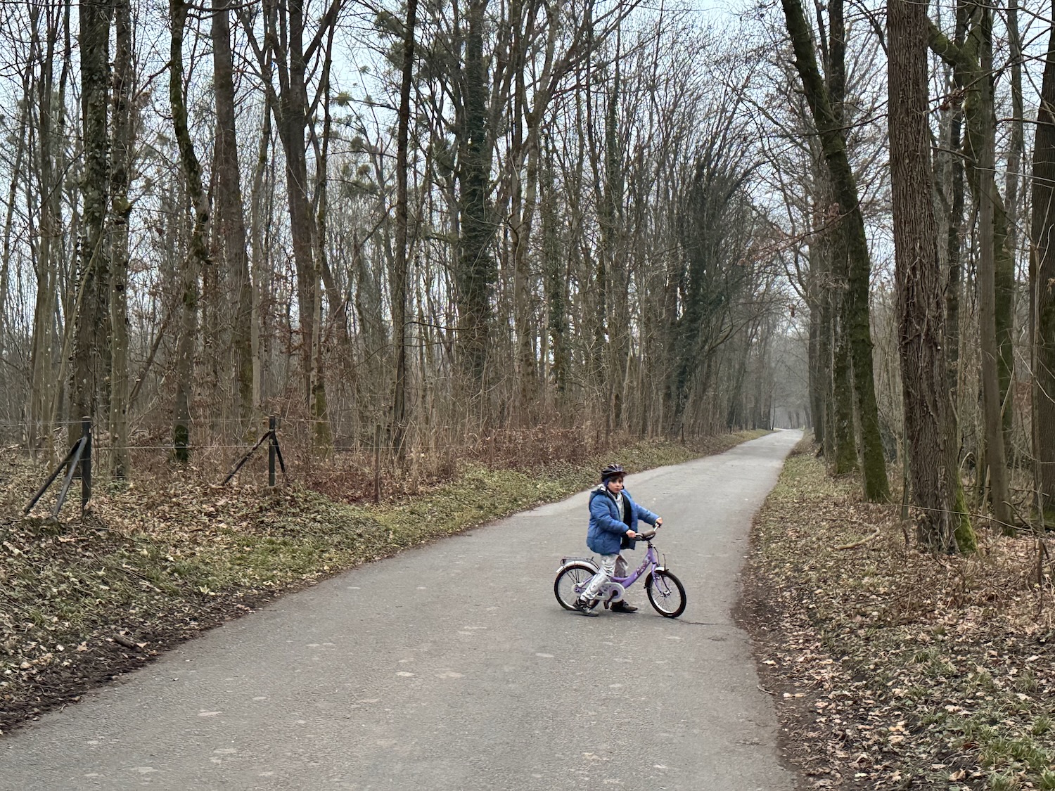 a person riding a bike on a path with trees