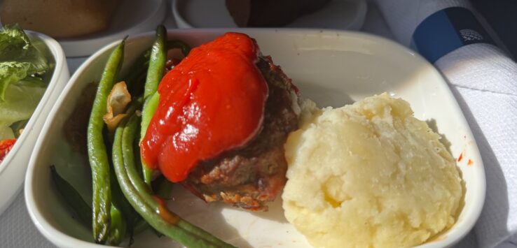 Bison Meatloaf United Airlines