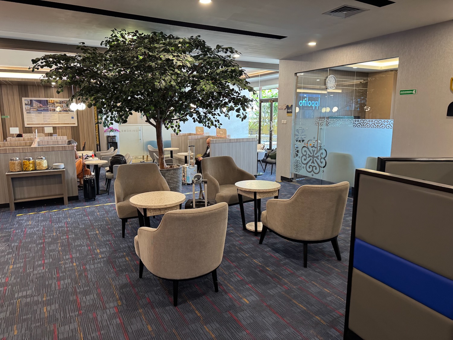 a room with a tree and chairs