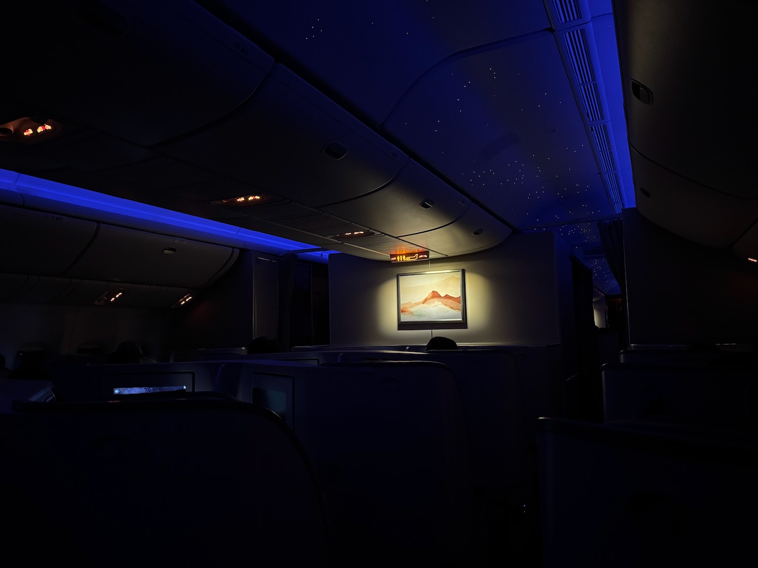 an airplane with a painting on the wall