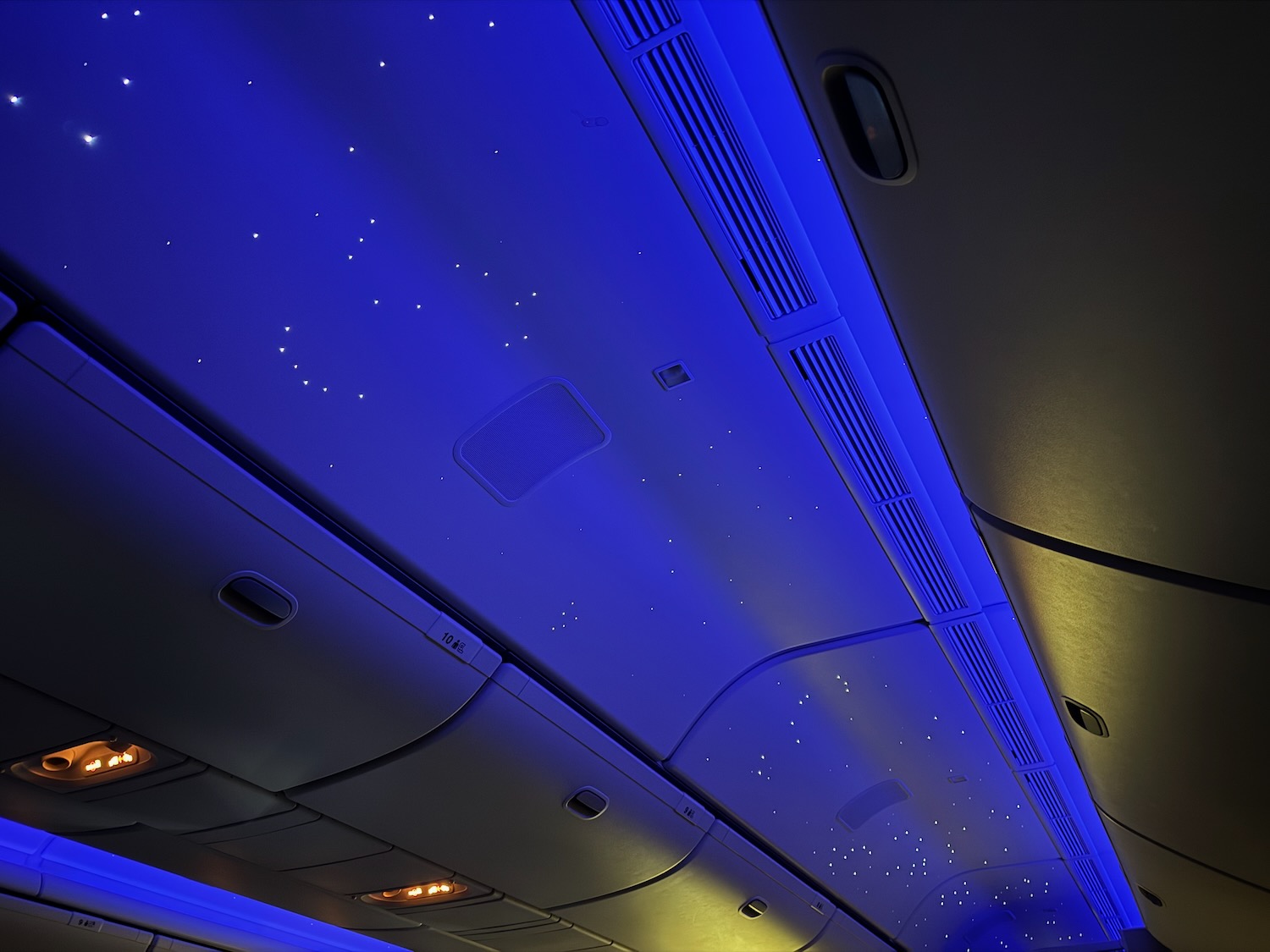 a blue ceiling and lights on a plane