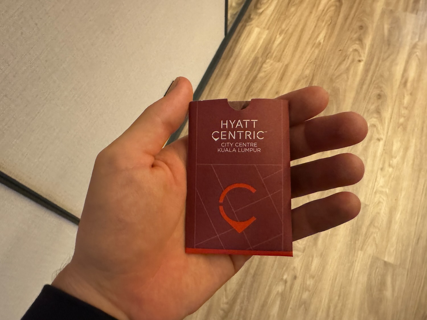 a hand holding a red passport