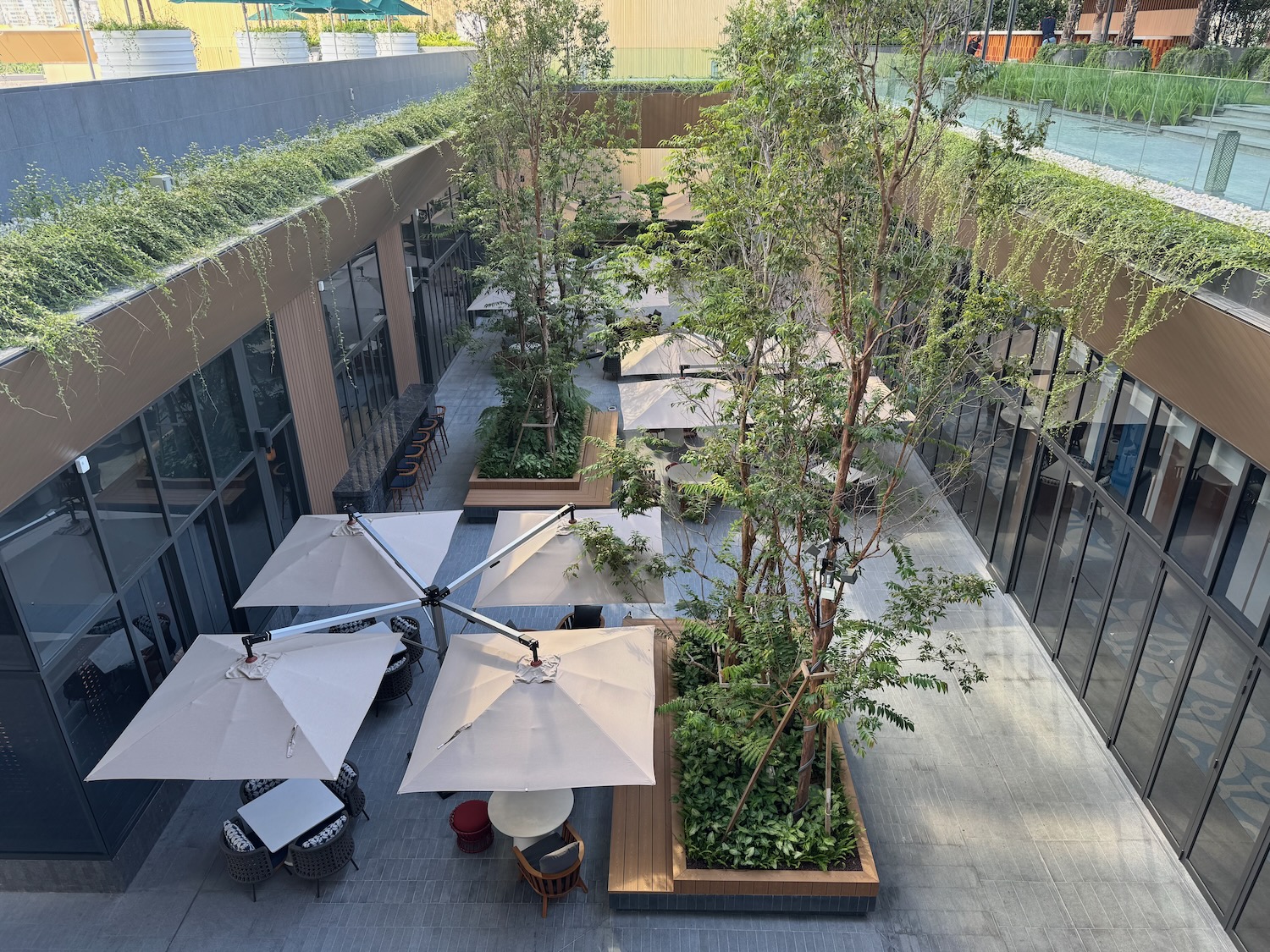 a patio area with trees and umbrellas