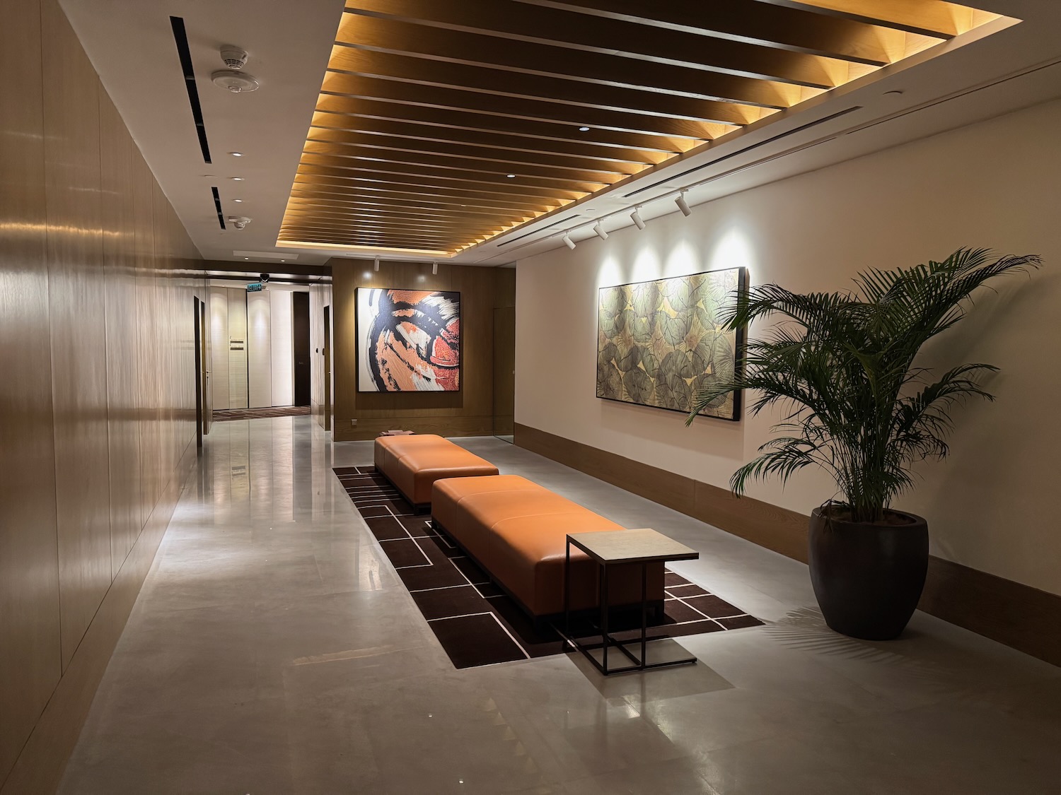 a long hallway with a bench and a plant