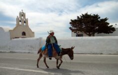 Santorini donkey weight limit