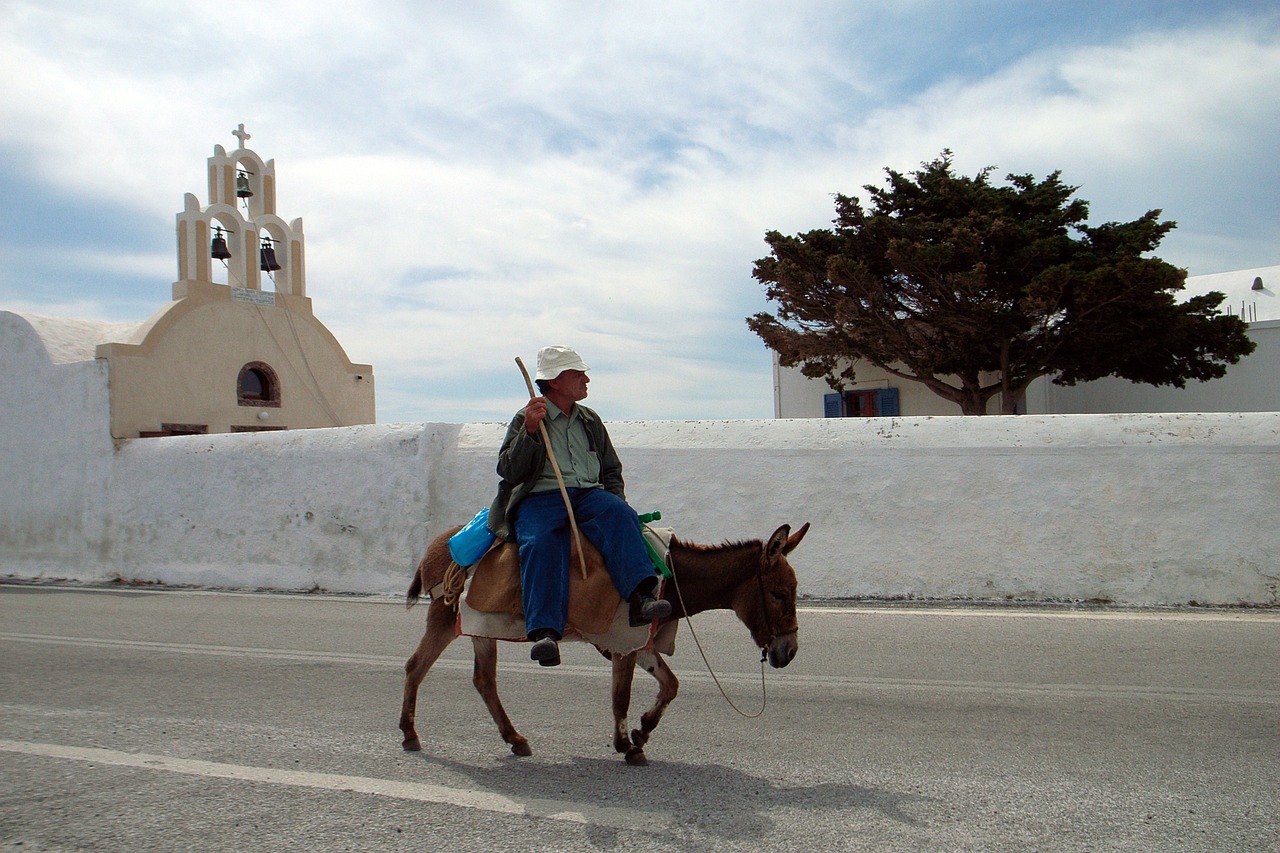 a man riding a donkey