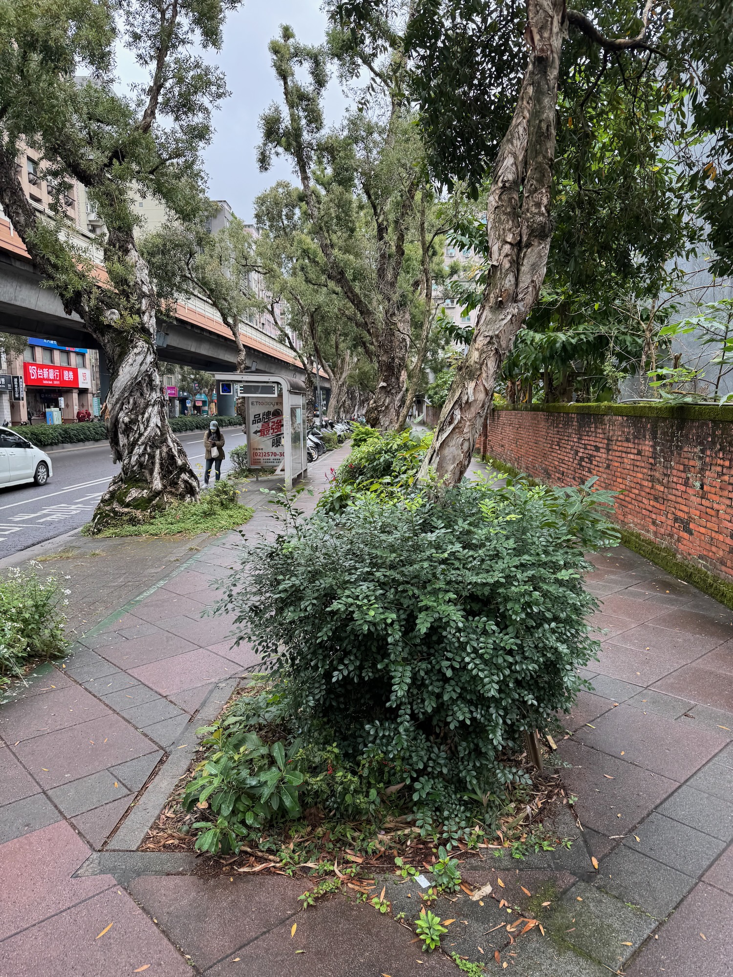a sidewalk with trees and a brick wall
