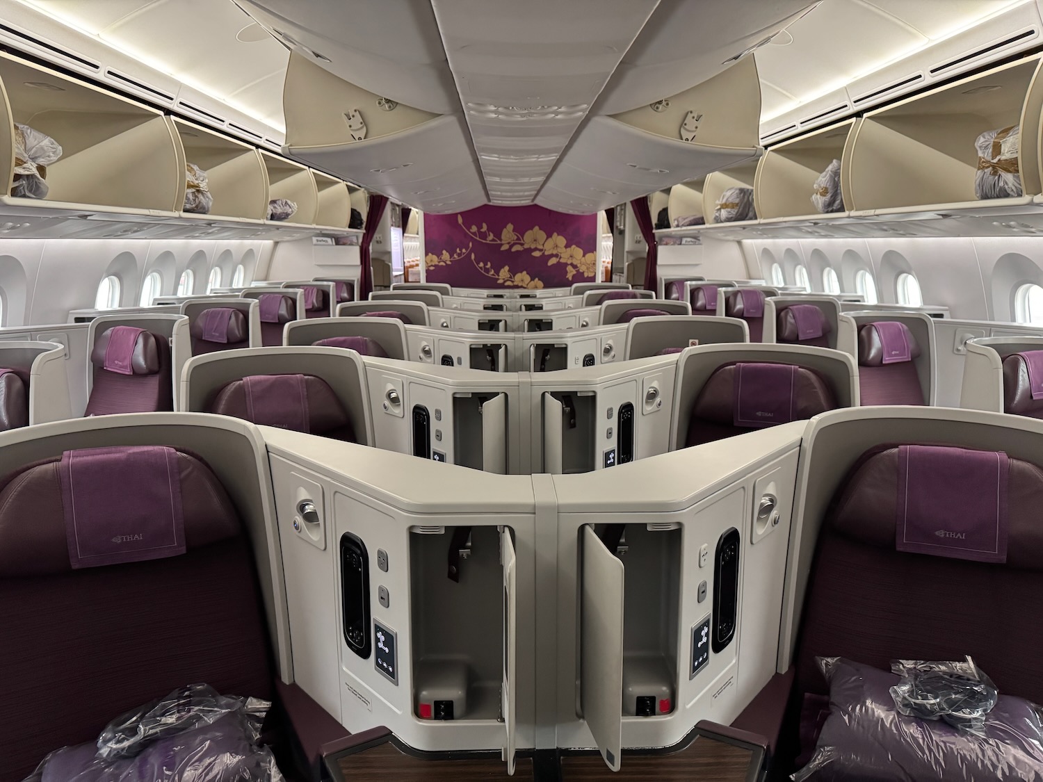an airplane with purple seats