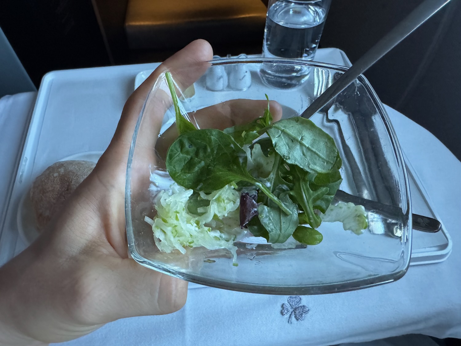 a hand holding a bowl of salad