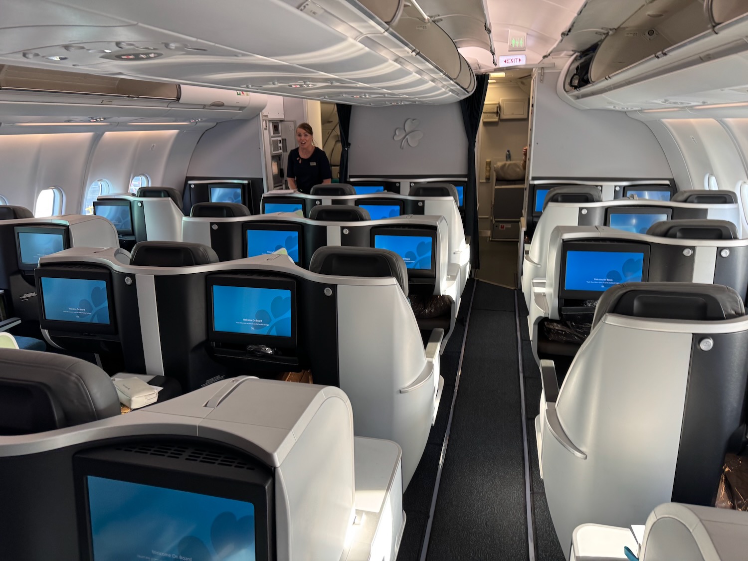 a person standing in an airplane