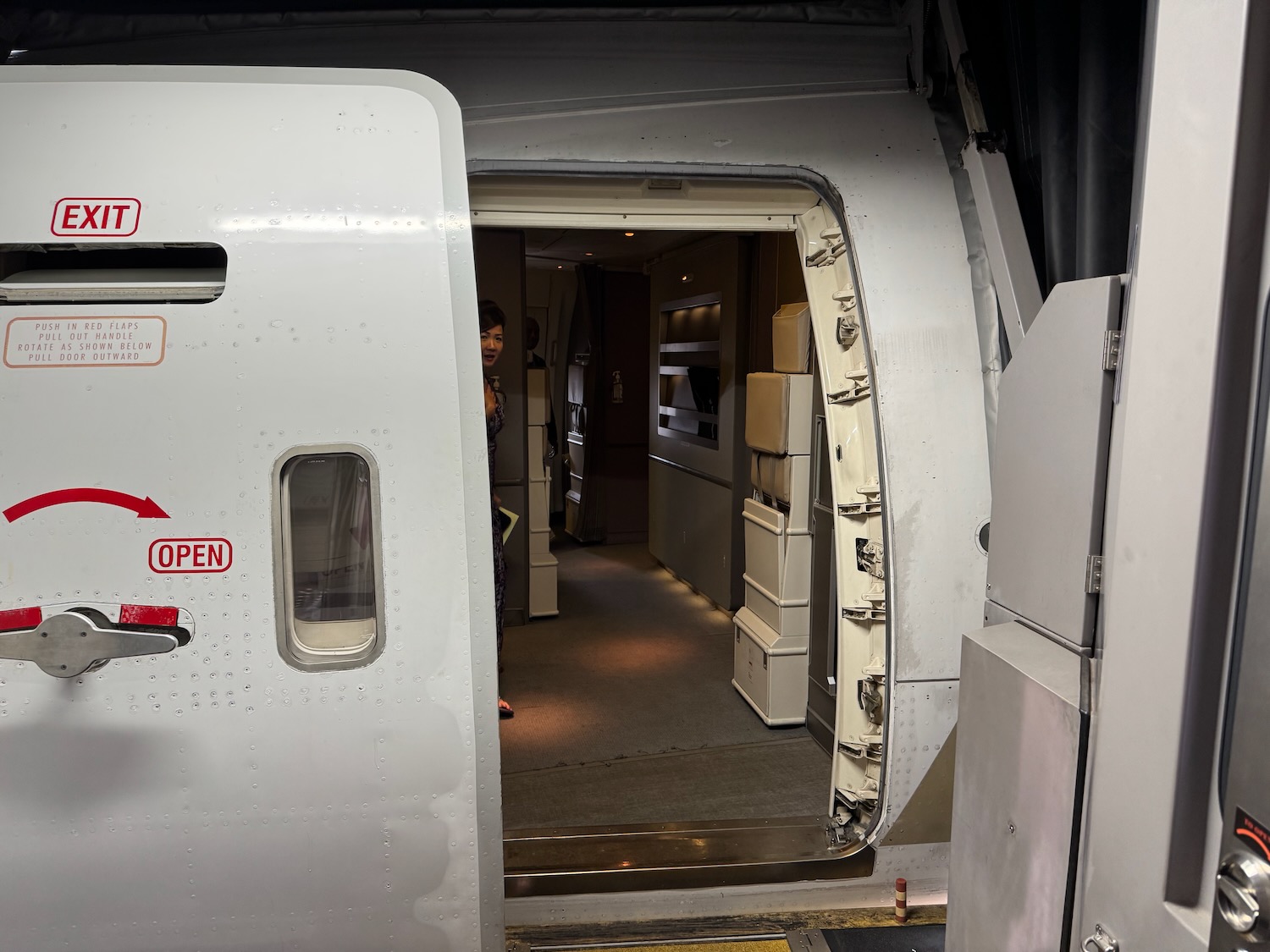 a person standing in a door of an airplane